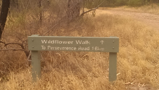 Wildflower Walk