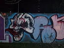 Street Art Skull