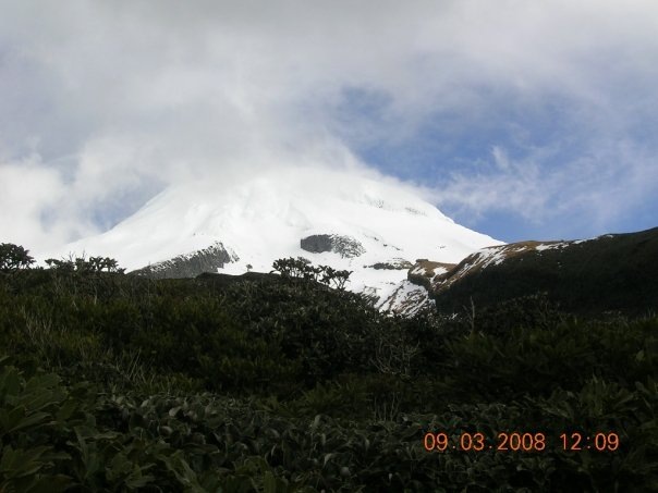 [n668815201_1744939_5502.jpg]