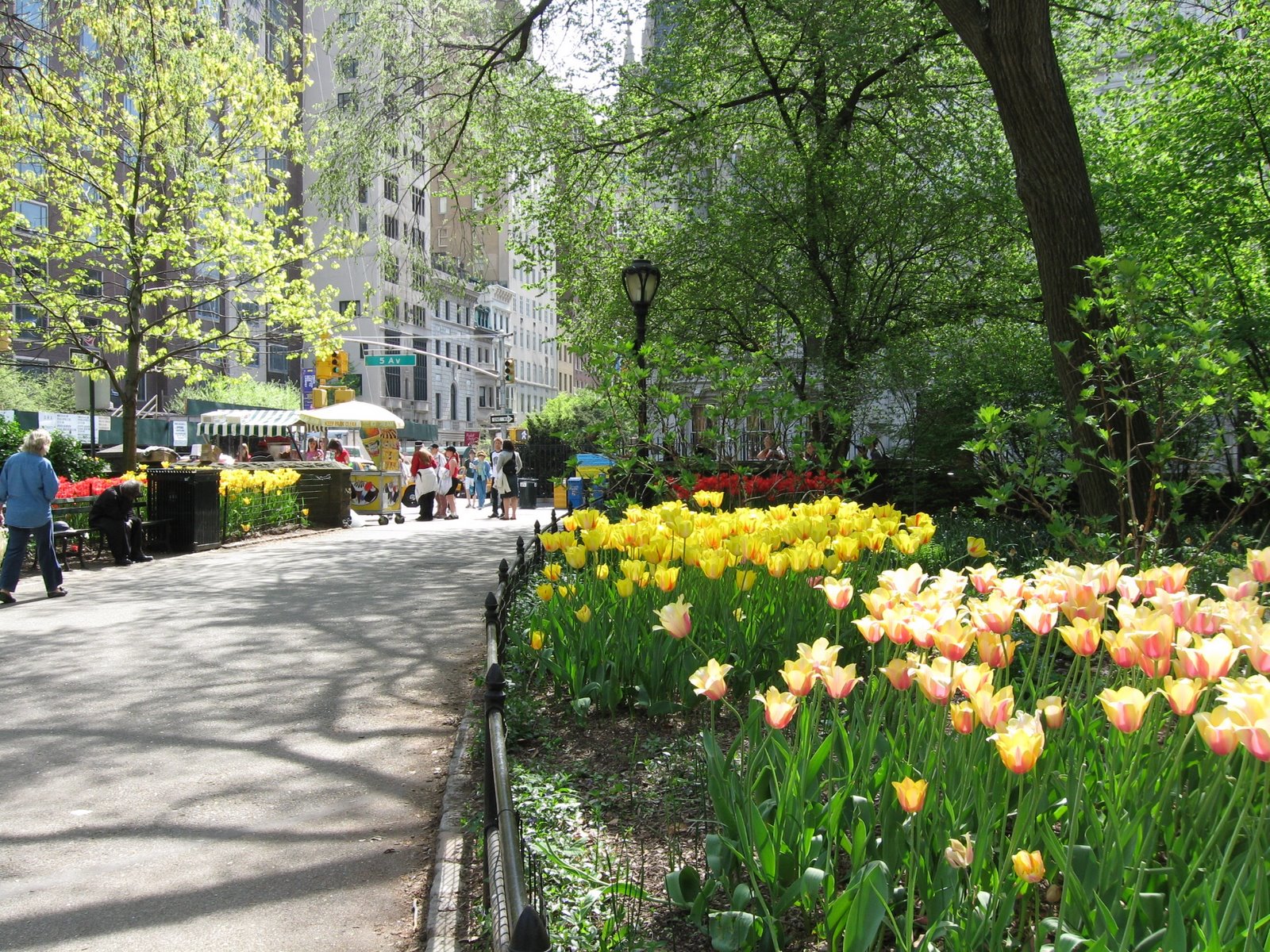 [Arizona and New York 041[2].jpg]