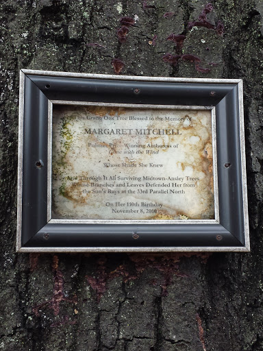 Margaret Mitchell Memorial Oak Tree