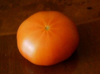 [tomato1[4].jpg]