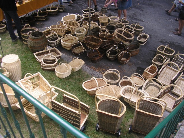 [P1010047[3].jpg]
