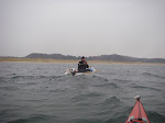 IMGP4139.JPG