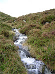 Nice little stream
