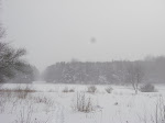 IMGP4282.JPG
