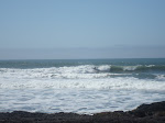 DSC00458.JPG