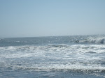 DSC00495.JPG