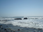 DSC00510.JPG