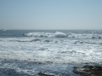 DSC00514.JPG