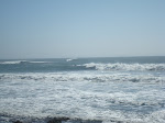 DSC00515.JPG