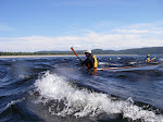 IMGP3411.JPG