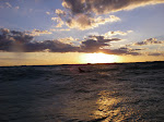 IMGP3633.JPG