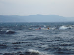 DSC01385.JPG