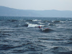 DSC01389.JPG