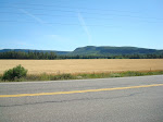 DSC01491.JPG
