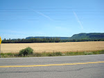 DSC01492.JPG