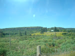 DSC01493.JPG