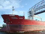 DSC01547.JPG