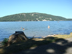 DSC01642.JPG