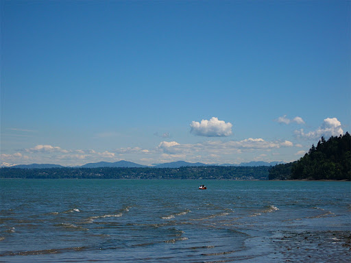 Dash Point