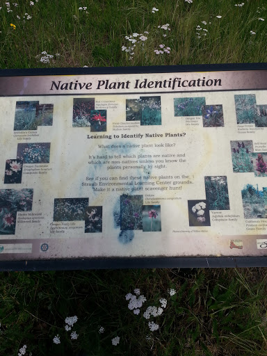 Native Plant Identification 