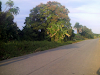 Vendo Finca 196 147 98 Y 49  Tareas En El Este
