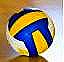 [VOLLEYBALL[13].jpg]