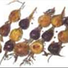 Roasted Rosemary Skewered Figs