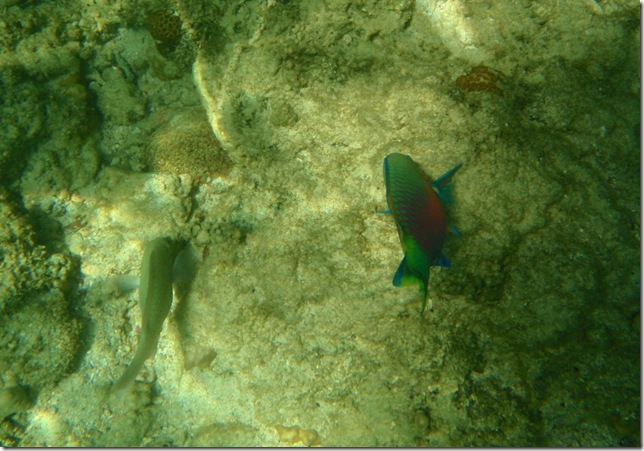P7070021