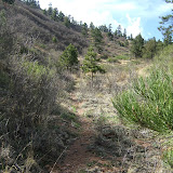 Dewey Trail