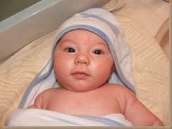more pictures of Aabram 007