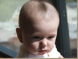 ABP 4.5 Months 057
