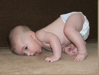 ABP 4.5 Months 068
