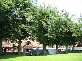 Ruinekerk Bergen Nord Holland