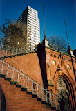 imm010.jpg