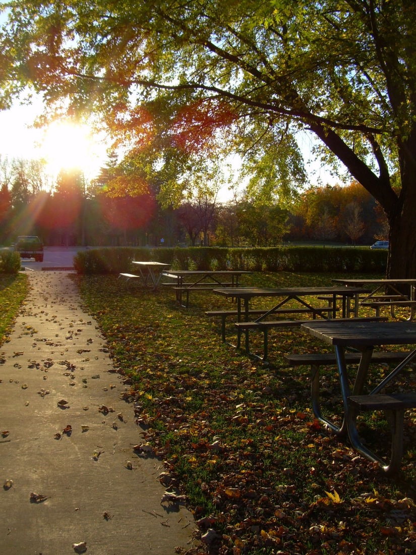 [Pamperin Park Fall 2008 (8)_847For email[9].jpg]