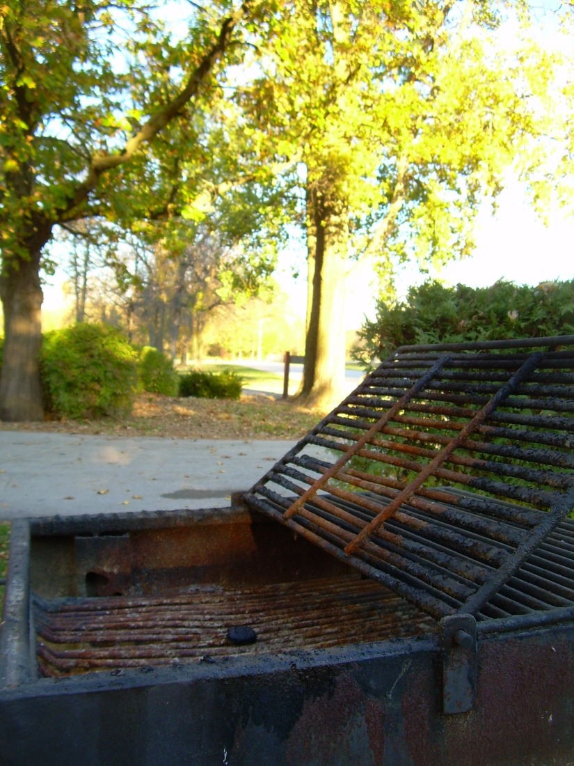 [Pamperin Park Fall 2008 (10)_849For email[10].jpg]