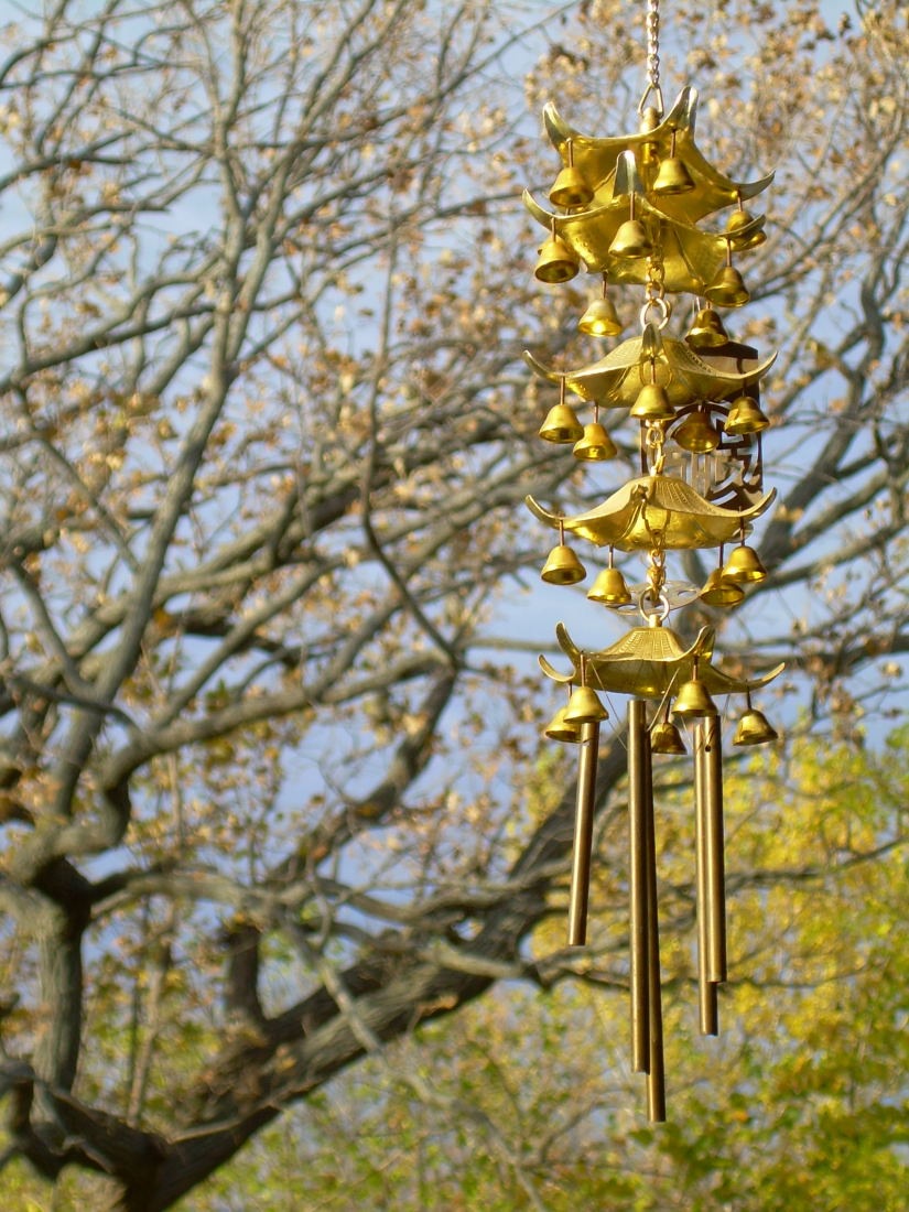 [Larrys dog and Porch (5)_935For email[9].jpg]