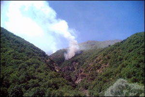 [dersim_orman_yangini[5].jpg]