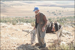 [iskence_asker_yasli[4].jpg]