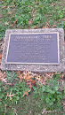 Aniversary Tree