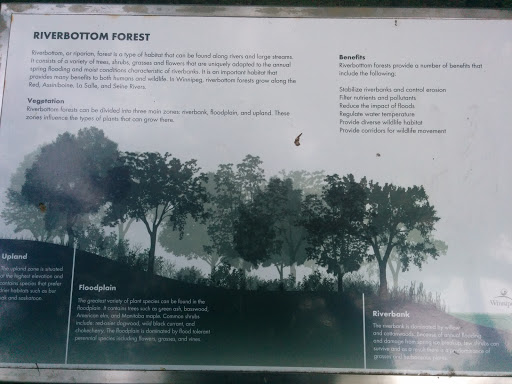 Riverbottom Forest