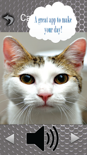 How to get Cute Cat Sounds lastet apk for laptop