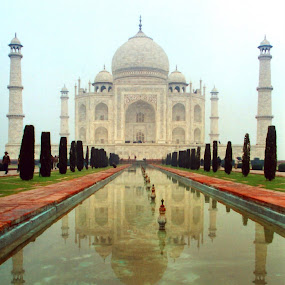 Taj Mahal, Agra, India. by Martin Thomas - Travel Places