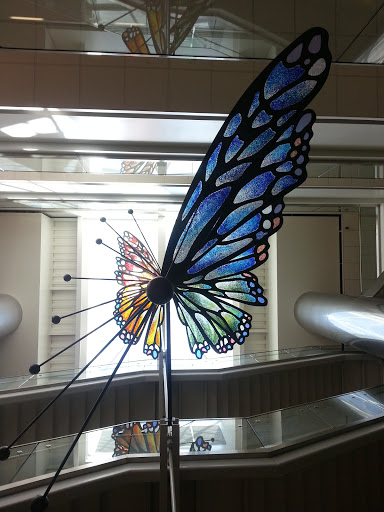 Butterfly Art Installation