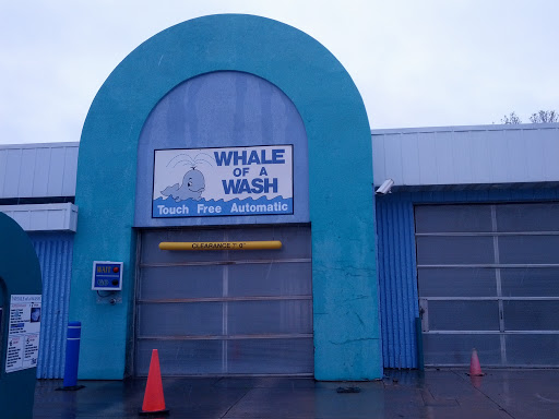 Whale of a Wash