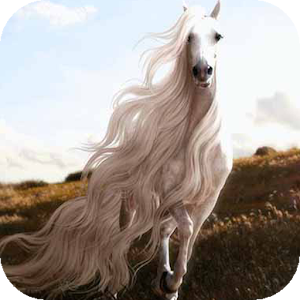 Horse with Long Mane LWP.apk 1.0