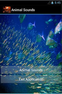 How to download Animal Sounds 1.5 apk for laptop