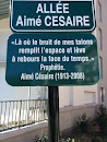 Plaque Aimé Césaire